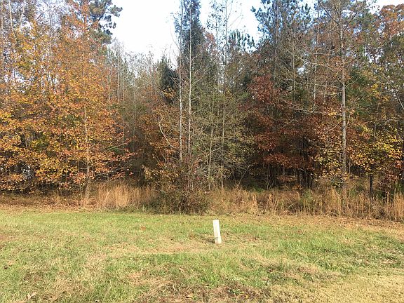 The Vacant Lot