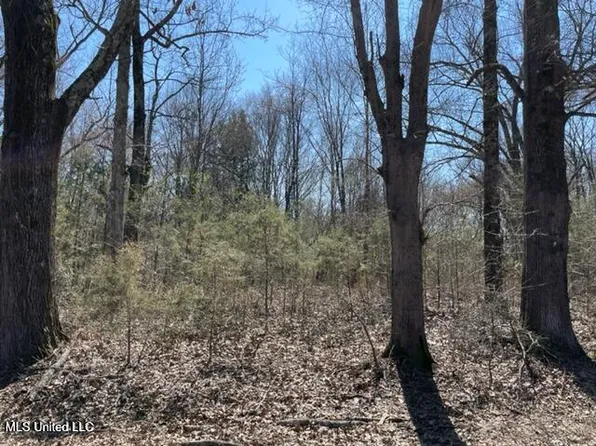 0 Box Corner Rd, Byhalia, MS 38611