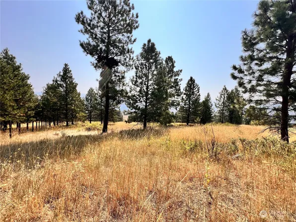 0 Honeysuckle Lane, Curlew, WA 99118