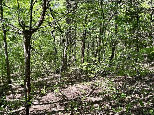 35 Sunrise Ave #3, Eureka Springs, AR 72631