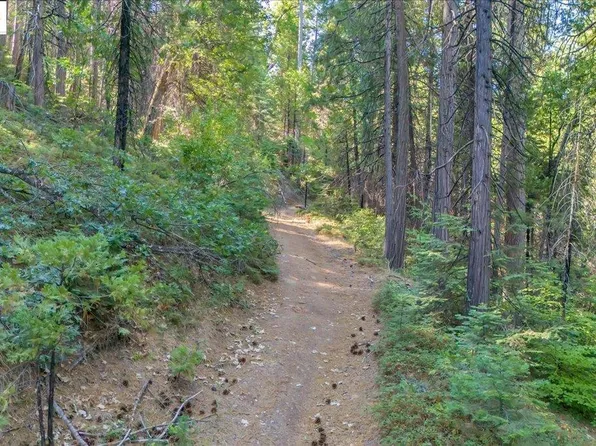 0 Fallen Leaf Ln, Twain Harte, CA 95383