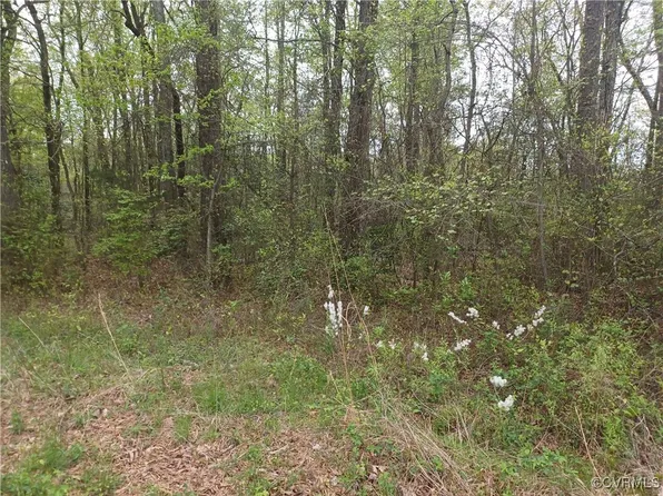 12332 E Booker Blvd Lot 8, Chester, VA 23831
