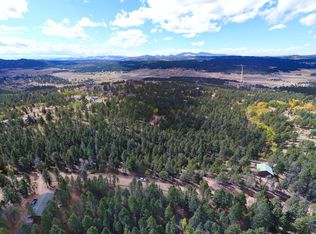 387 Paint Pony Ln, Florissant, CO 80816