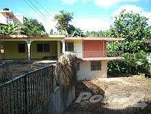 caguas 2