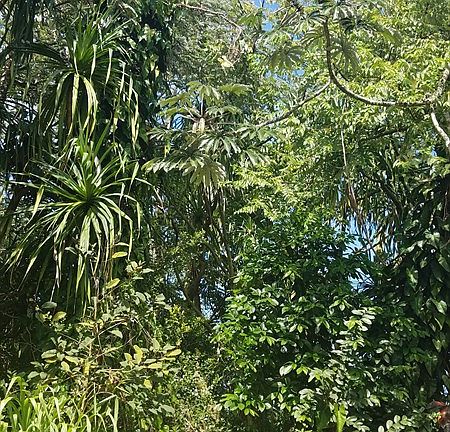 2nd image of 15-2807 Manini St Lot 1187