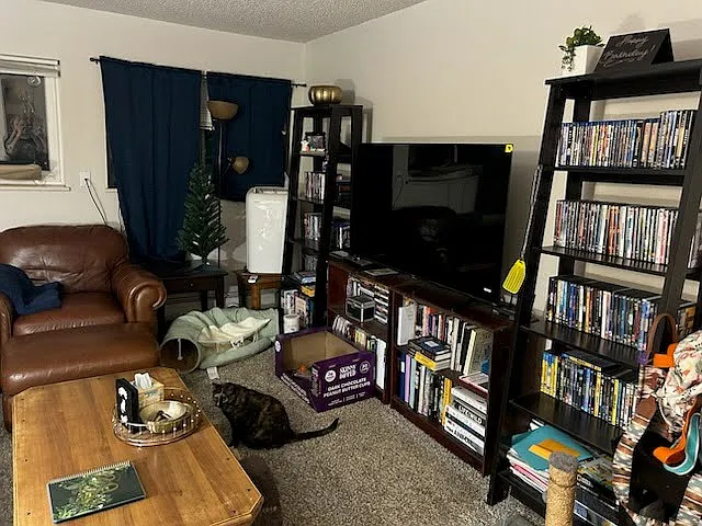 3 bed, 1050 sqft, $950 — Photo 3