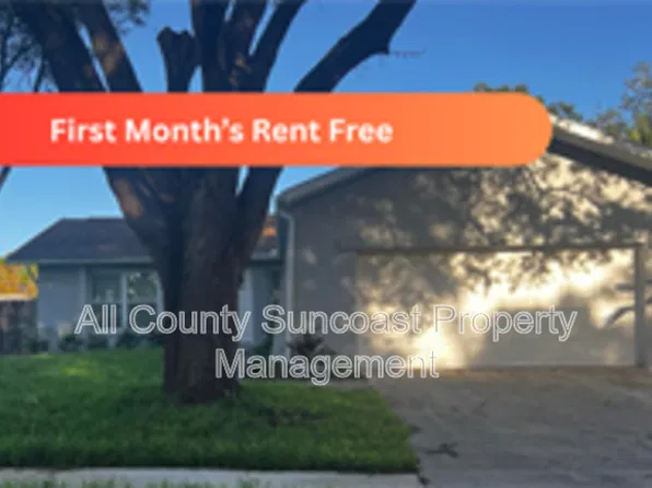 768 16th St, Palm Harbor, FL 34683