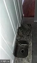 2012 Mount Royal Ter — Photo 3