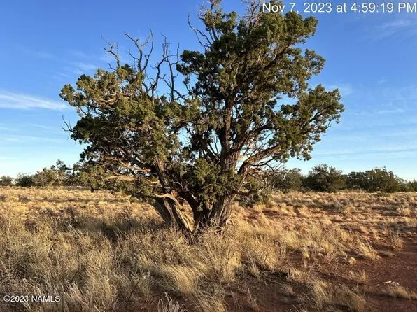 2766 S Alden Gln #40, Williams, AZ 86046