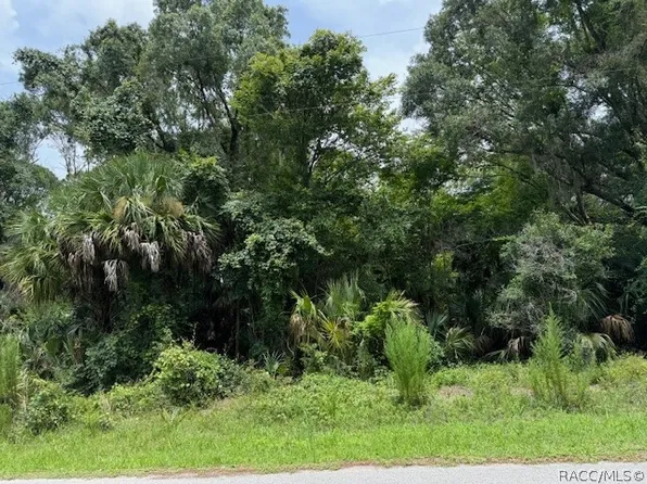 11259 W Gem St, Crystal River, FL 34428