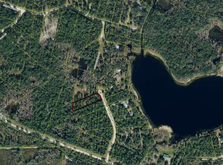 295 SE Cedar Dr, Branford, FL 32008