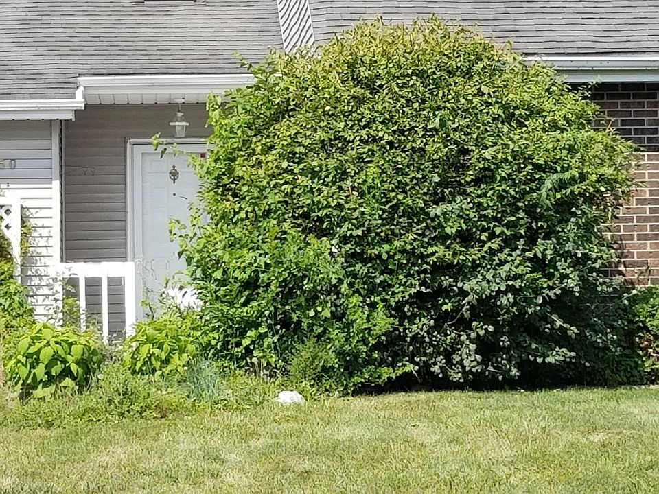 1st image of 450 Tanglewood Dr