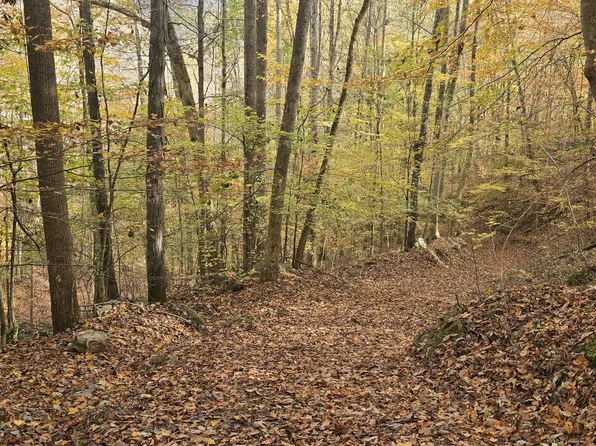 0 Hillis Cemetery Rd, Spencer, TN 38585