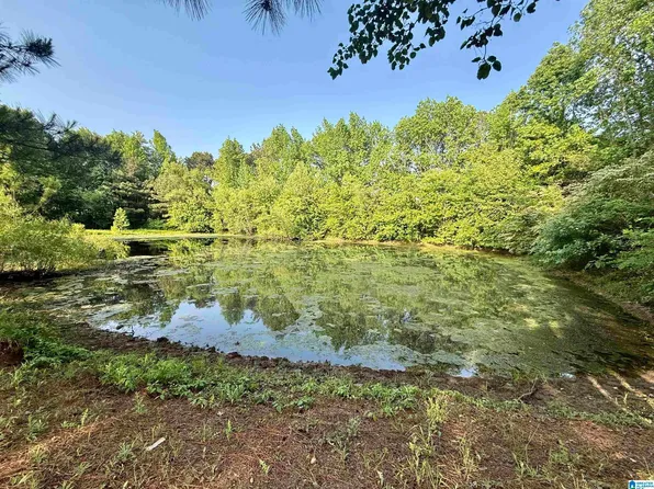 151 Friendship Rd, Altoona, AL 35952