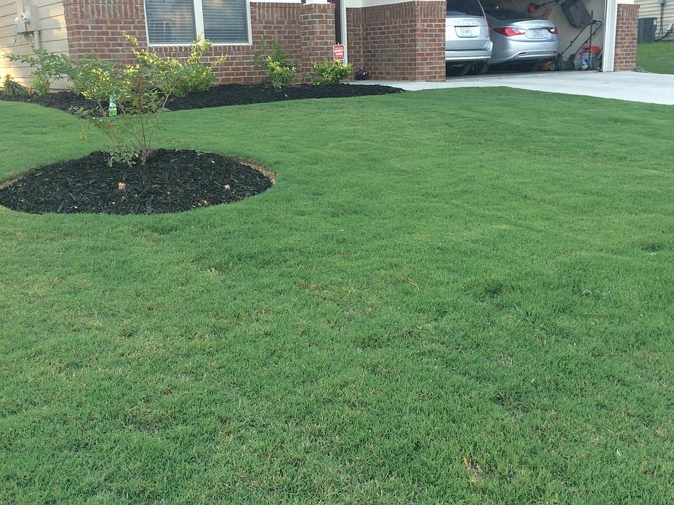 Manicured Lawn and double car garage
