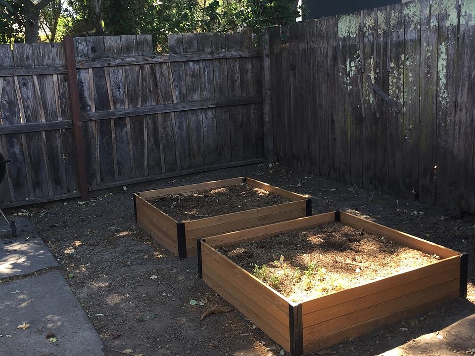 Planter boxes and back patio