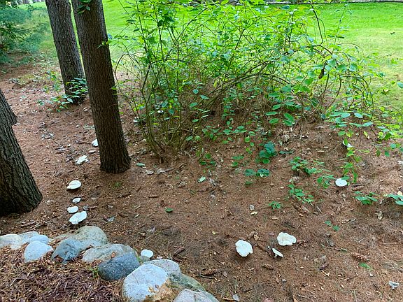 4th image of 7296 Stoney Creek Dr