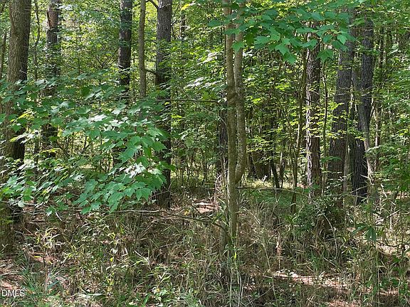 2nd image of 300-1 Landmark Rd Lot 1