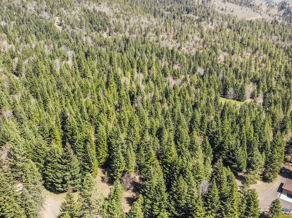 45 Ridgeview Rd, White Salmon, WA 98672