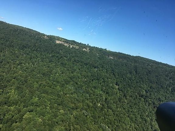 3rd image of 488 Lopez Farm Rd