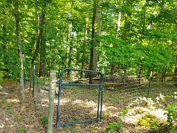 5th image of 138 Stooksbury Ln