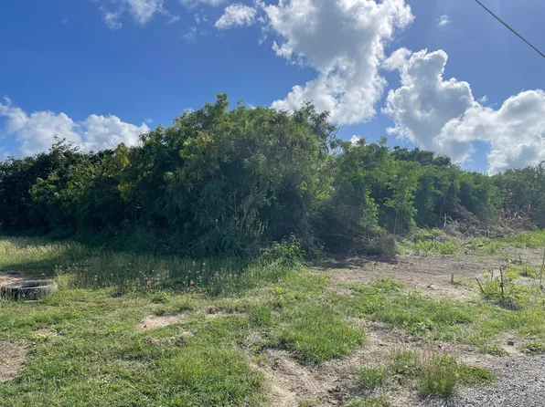 203 Enfield Green PR, St. Croix, VI 00820