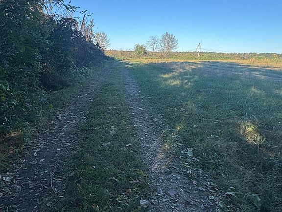 5th image of 376 Old Highway 7 S