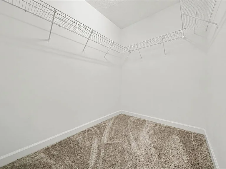 11118 Longleaf Woods Dr — Photo 22