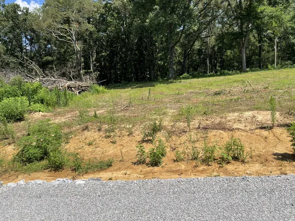 0 Hidden Hills Ln Lot 40A, Summertown, TN 38483