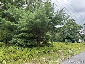 1st image of 695 Big Pond Road
