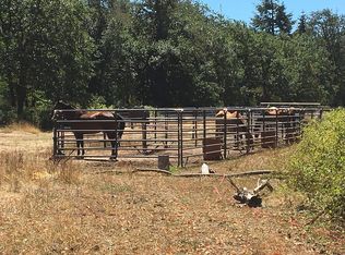 17837 Sargent Rd SW, Rochester, WA 98579