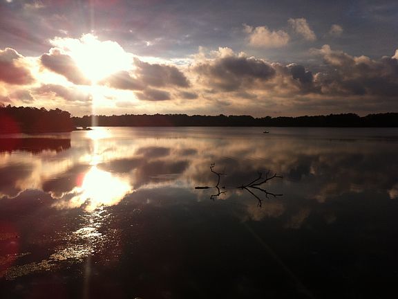 5th image of 703 Waters Edge Dr APT 305