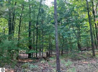 669 Co Rd, Thompsonville, MI 49683