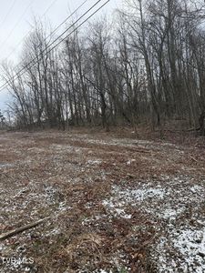 0 S Waterfork Rd, Greeneville, TN, 37743