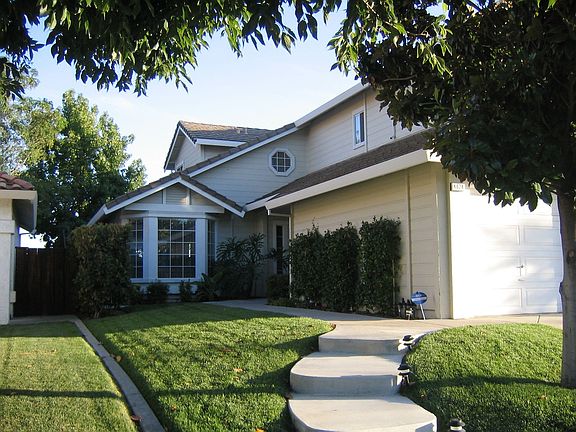 Manicured low maintenance yard