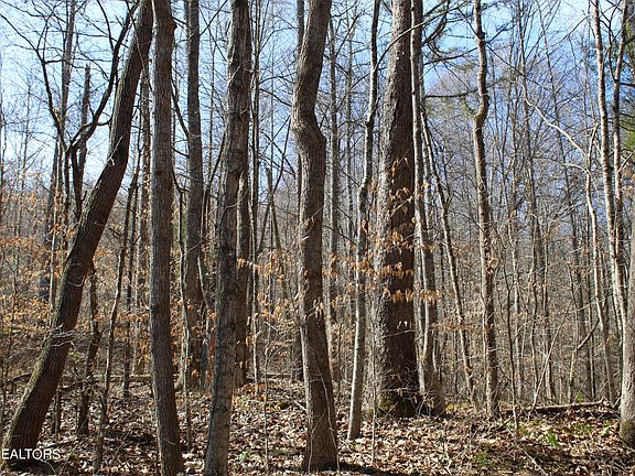 3rd image of State Highway 66 Dorton Branch Rd