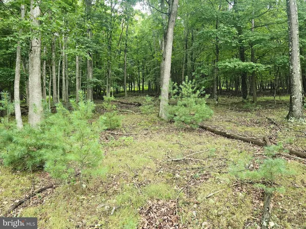 LOT 21 Fairway Ln, Franklin, WV 26807