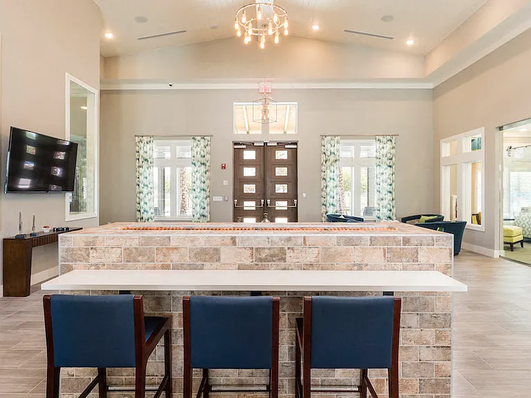 Ariel - Lake Nona — Photo 29