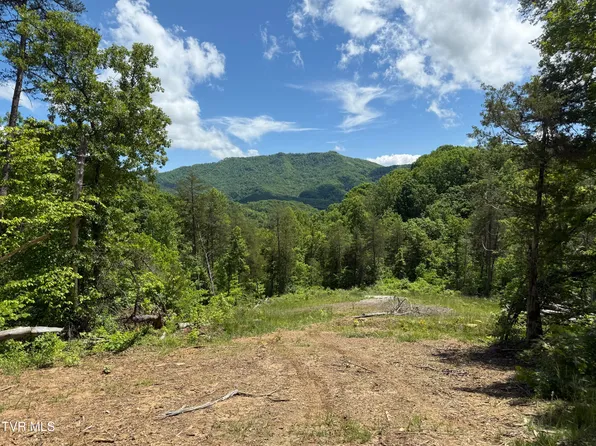 146/AC Simpson Loop, Rogersville, TN 37857