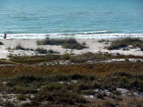 Gulf View