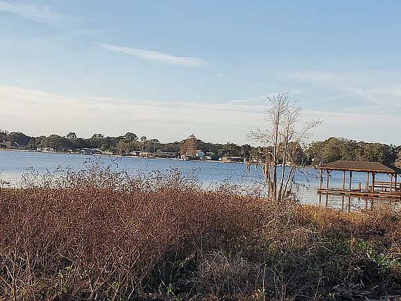 2nd image of Lake Minneola Shrs.