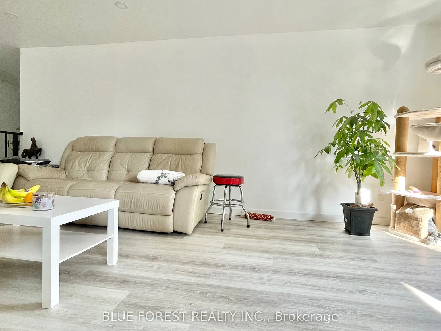 3 bed, $2,100 — Photo 3