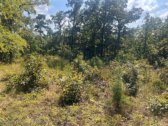 5th image of 30225 River Rd