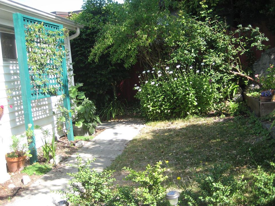 amazing yard