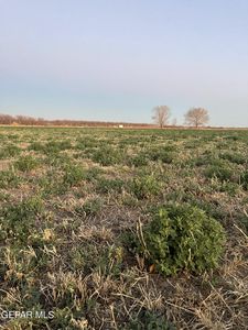 Tba Tba, Fabens, TX, 79838