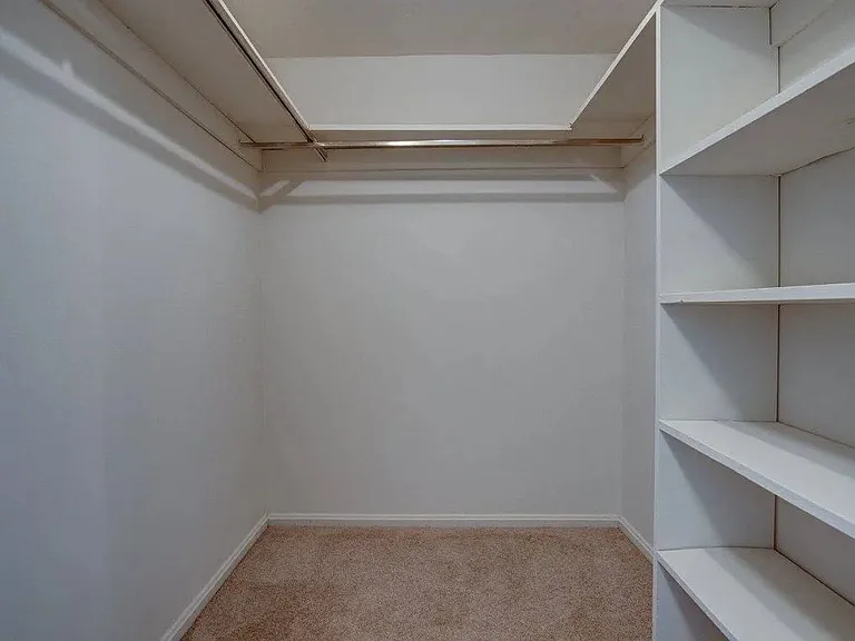 Large walk-in closet with plenty of storage