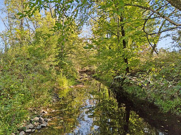 3rd image of 7734 Nolensville Rd Lot 1