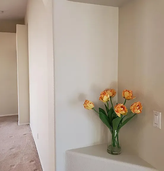 7309 Wild Olive Ave NE — Photo 8