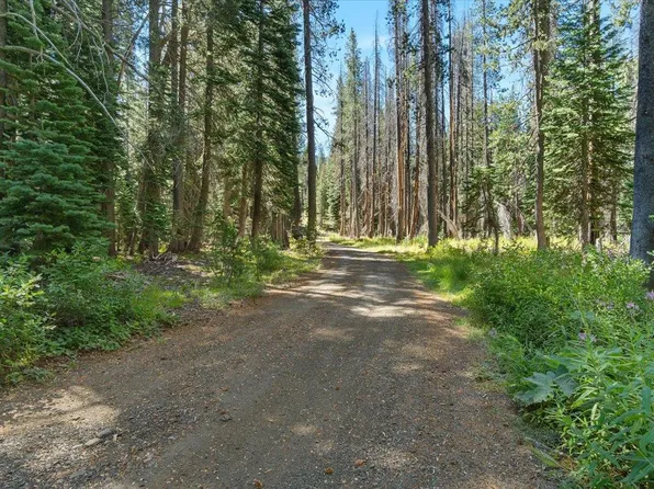 20414 Us Highway 50, South Lake Tahoe, CA 96150