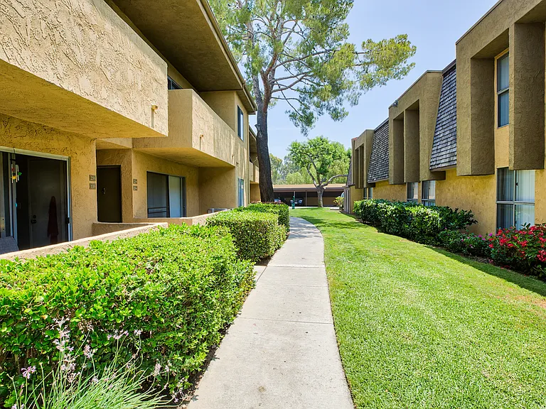 Citrus Park — Photo 10